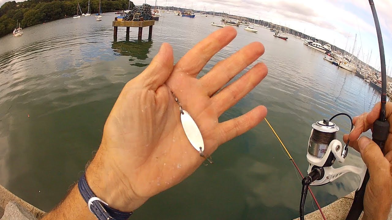 Mackerel Fishing - Shore & Boat | Rigs, Tips & Tactics to CATCH MORE FISH!