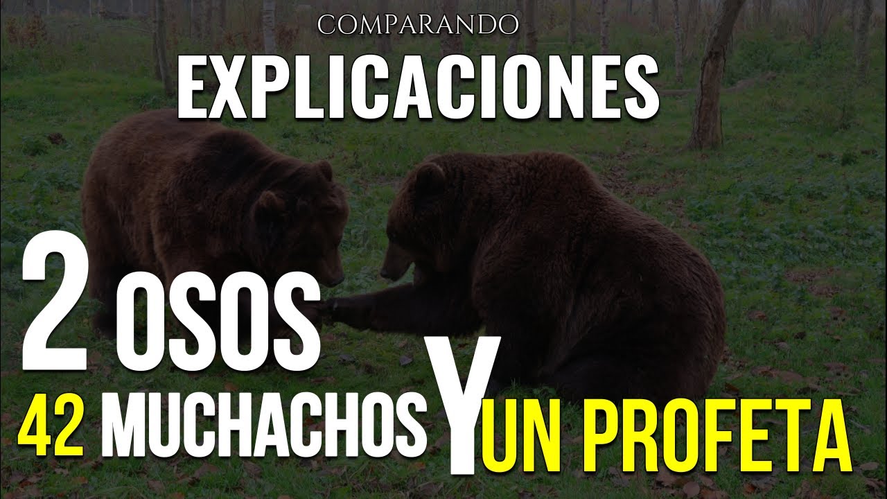 El impresionante relato del Profeta Eliseo, los dos osos y los 42 muchachos burladores
