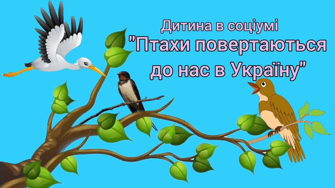 Дитина в соціумі 