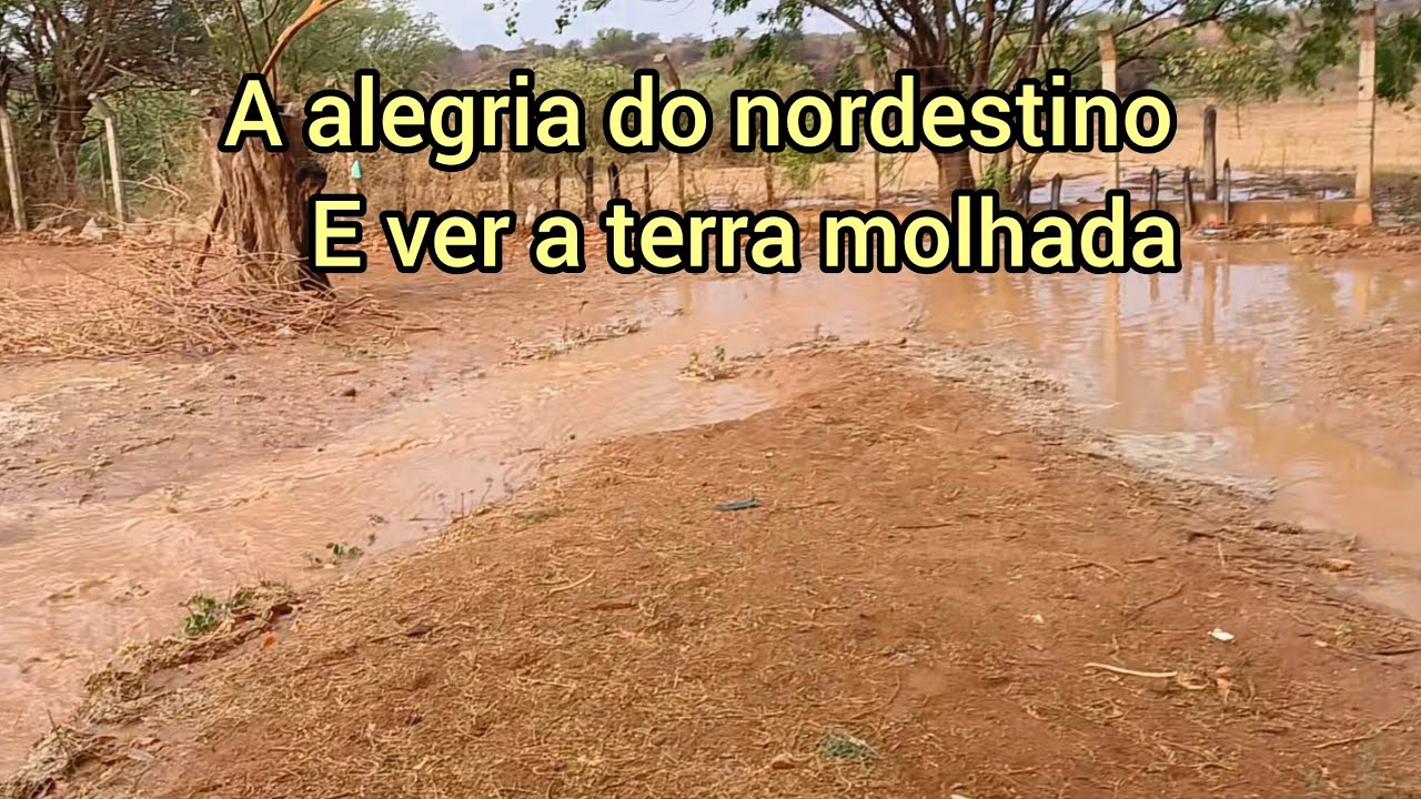 A chuva voltou no sertão da Bahia para alegria dos nordestino 