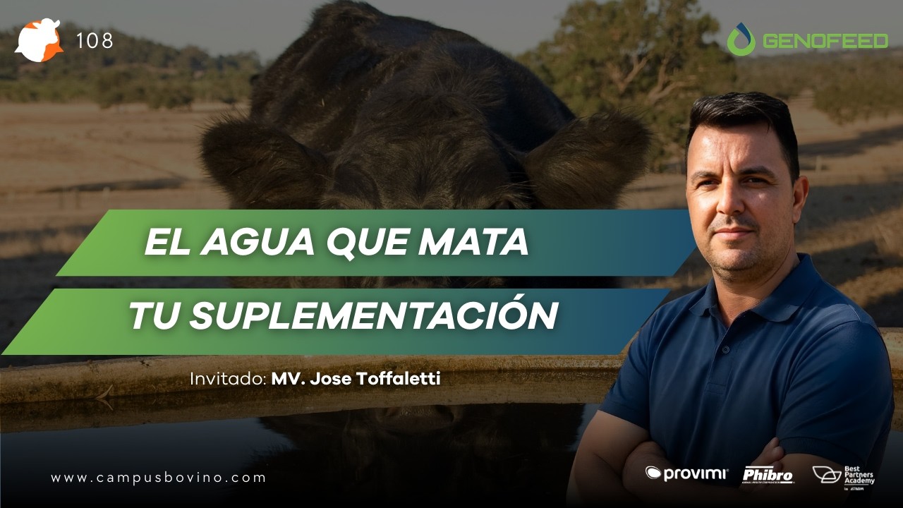 #108 - Agua, minerales y biosales: Claves en ganadería subtropical - MV. Jose Toffaletti