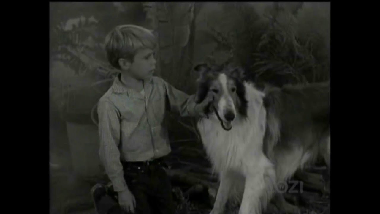 Lassie - Episode #218 - 