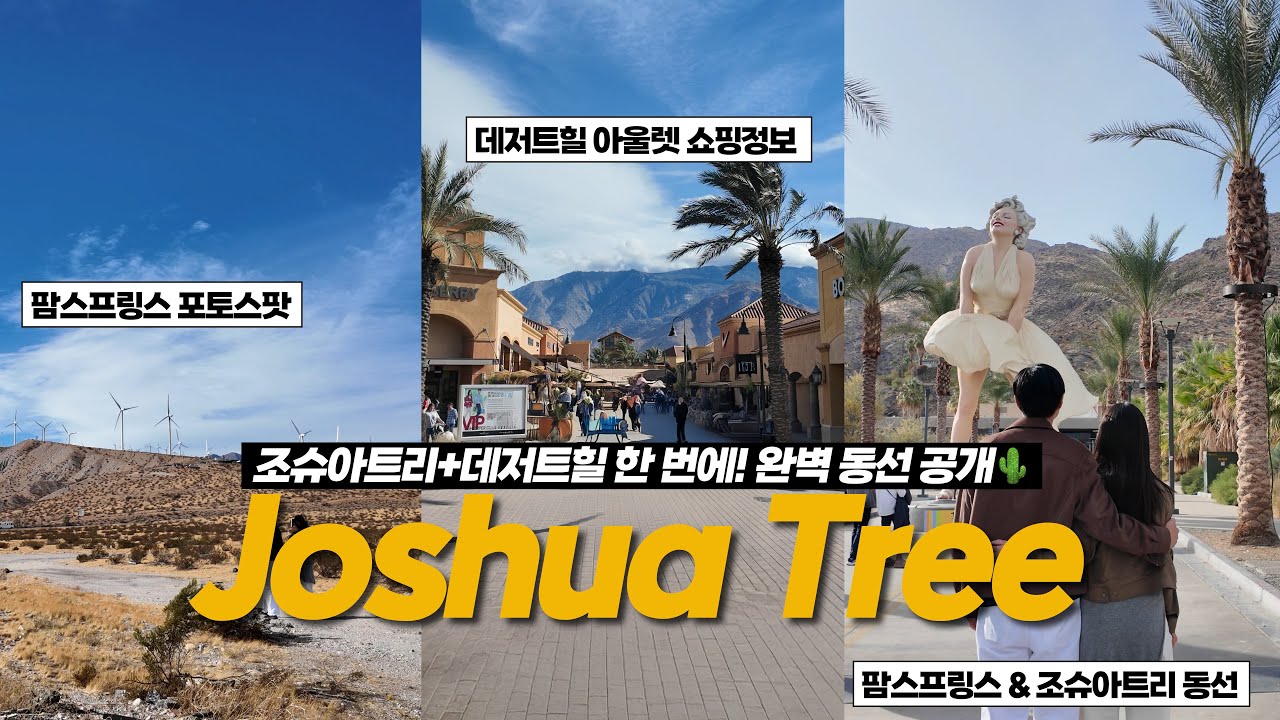 LA에서 2시간! 조슈아트리 국립공원 + 데저트힐 아울렛 + 팜스프링스 1타 3피 여행코스 대공개🌵