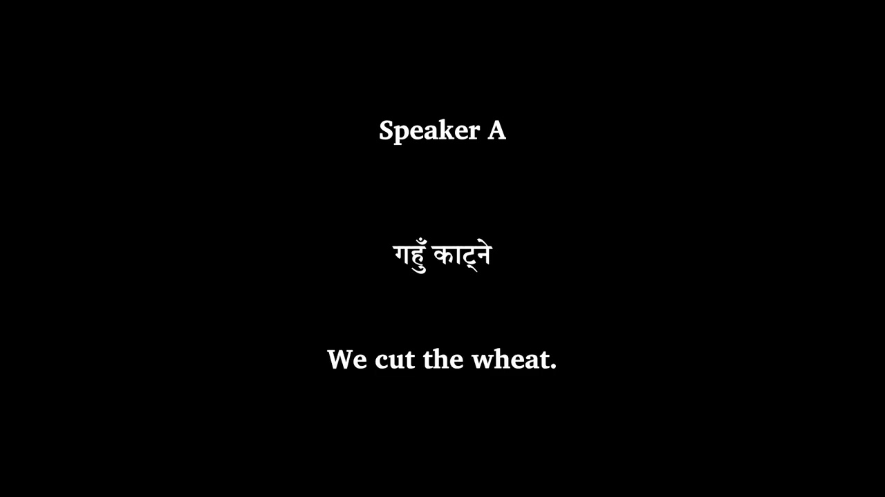 Cutting Wheat Oral Annotations. Pahari Language of Nepal. पहरी भाषामा छ।
