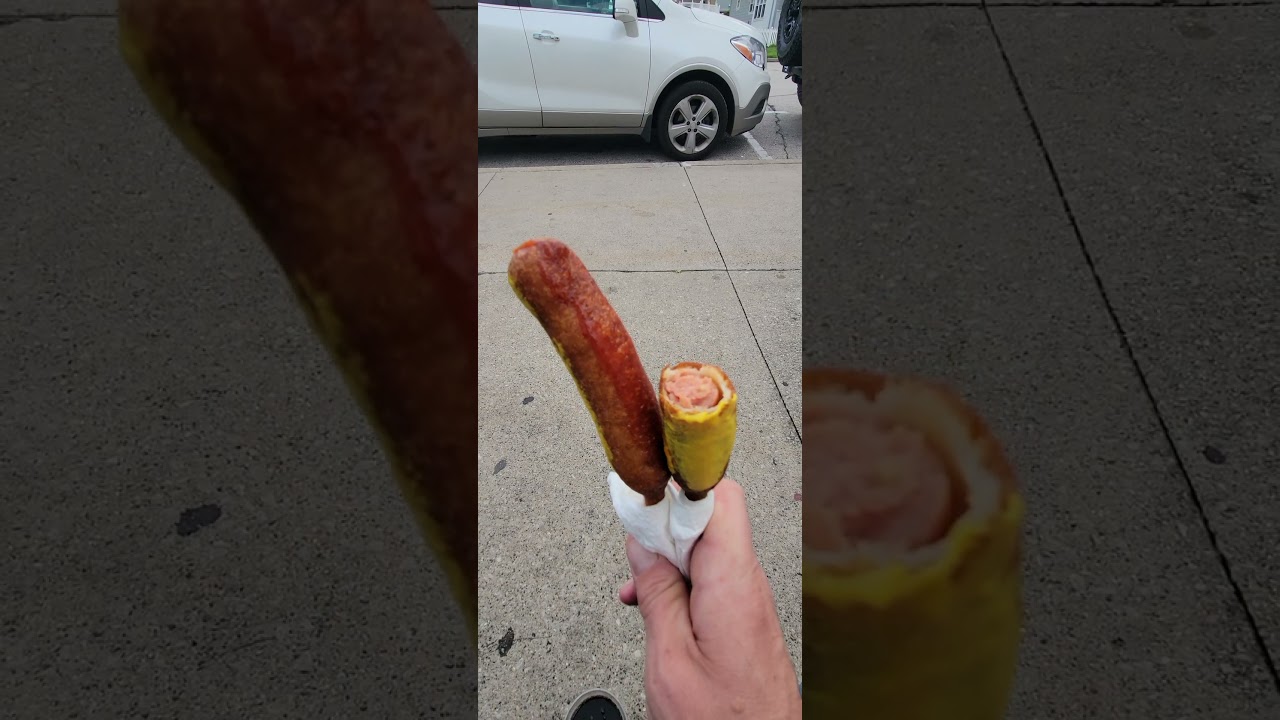 Pronto Pups Review Grand Haven, MI 8-23-25