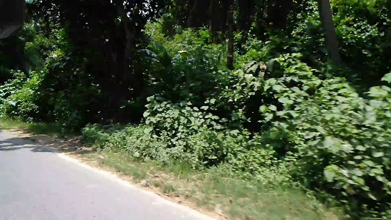 Journey view in Nazipur Patnitala, Naogoan