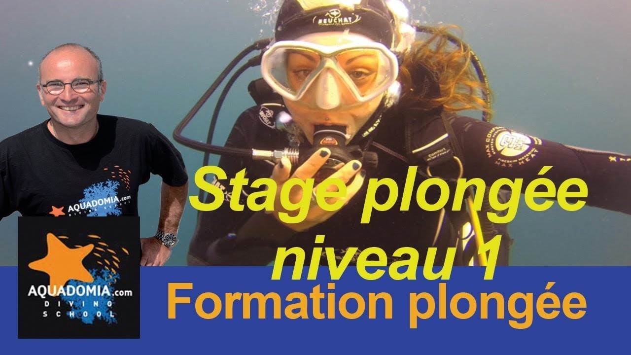 Stage plong&eacute;e niveau 1 pour apprendre &agrave; plonger, 