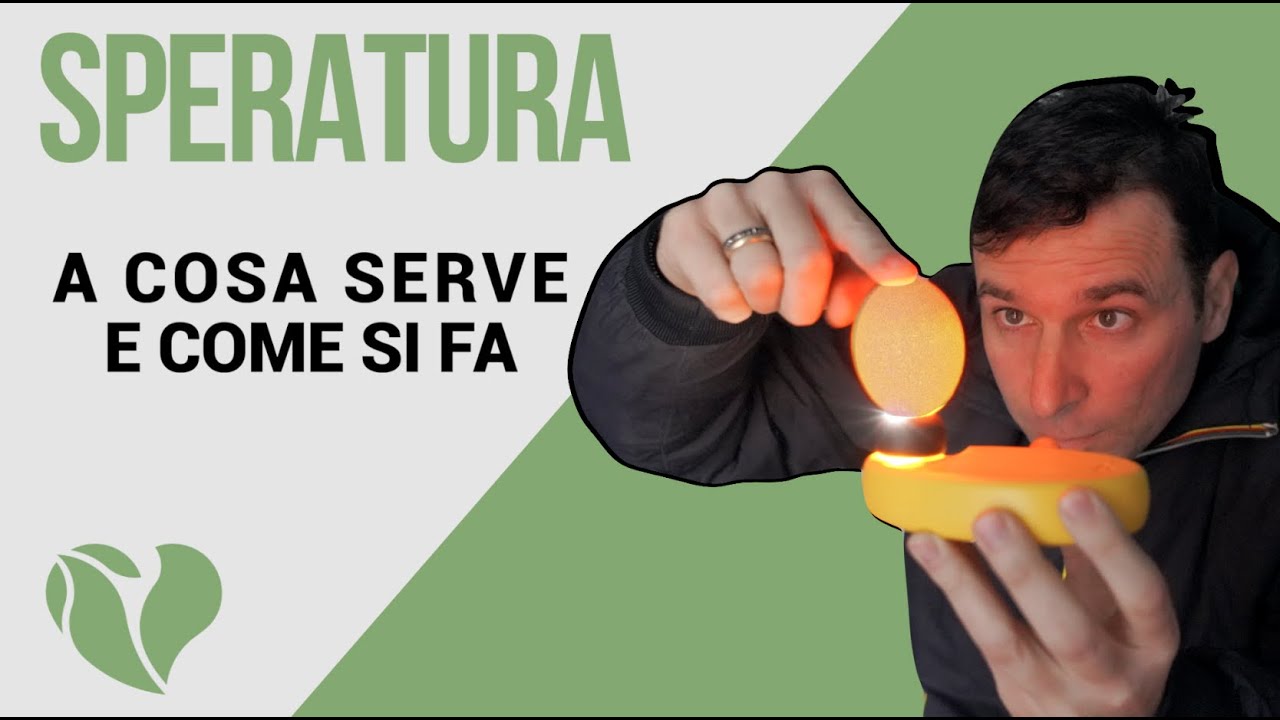 Cos'è la speratura delle uova? A cosa serve la speratura e come va effettuata?