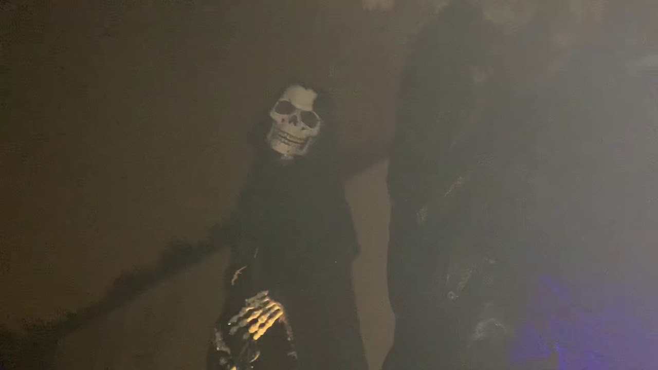 Tunnel des Grauens Horror Grusel Halloween Zoo Halle Skelett Skeleton Werewolf Weg Kinderstimmen grr