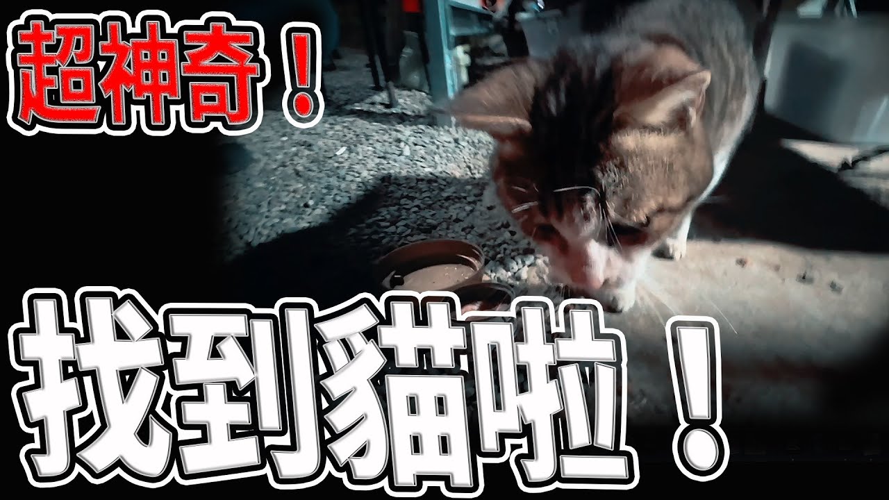 超神奇！｜帶走下壇將軍的不是人！｜土地婆指示要我們快下山！｜百年土地婆｜#高雄#府#靈異#宗教｜《鬼man＆阿道夫》feat.夜羽｜ 道教 稽查 探險 ｜#道教#靈異#巫術#廟宇