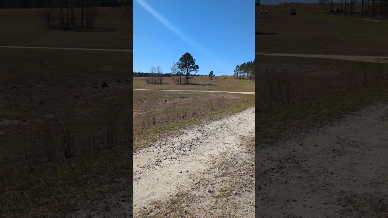 Daemon 5 1/2 months old. 200 yard single