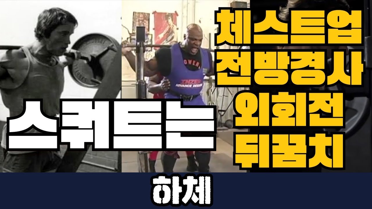 하이바 스쿼트와 로우바 스쿼트의 모든 것, 느낌이 아닌 해부학으로 설명하는 스쿼트. 펼쳐지는 다리를 만들기 위한 방법을 해석 해드립니다.