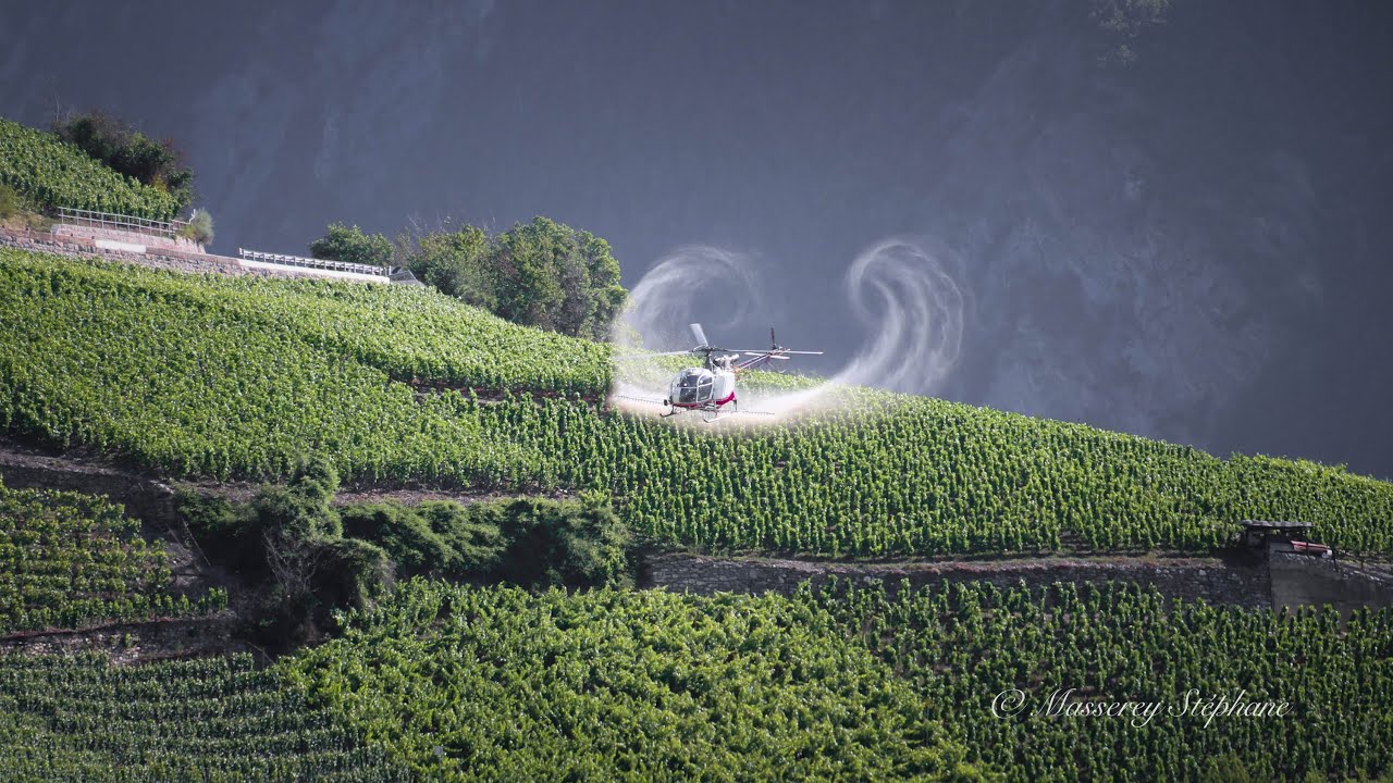 Air Glacier Sulfatage des vignes Valais