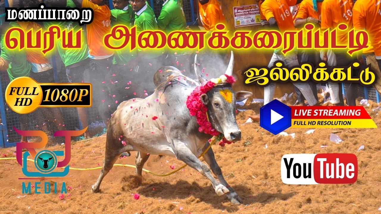 🔴LIVE : பெரிய அணைக்கரைப்பட்டி ஜல்லிக்கட்டு 2026 | Periya Anaikaraipatti Jallikattu 2026