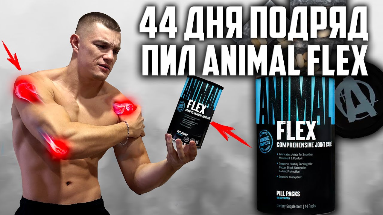 44 ДНЯ ПОДРЯД ПИЛ ANIMAL FLEX, ВОТ ЧТО ВЫШЛО!