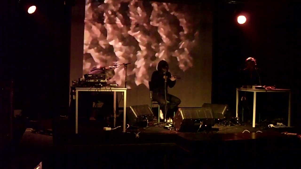 DDAA (Déficit Des Années Antérieures) Live, Bruxelles, Ateliers Claus (Rogier) 19-12-2010.