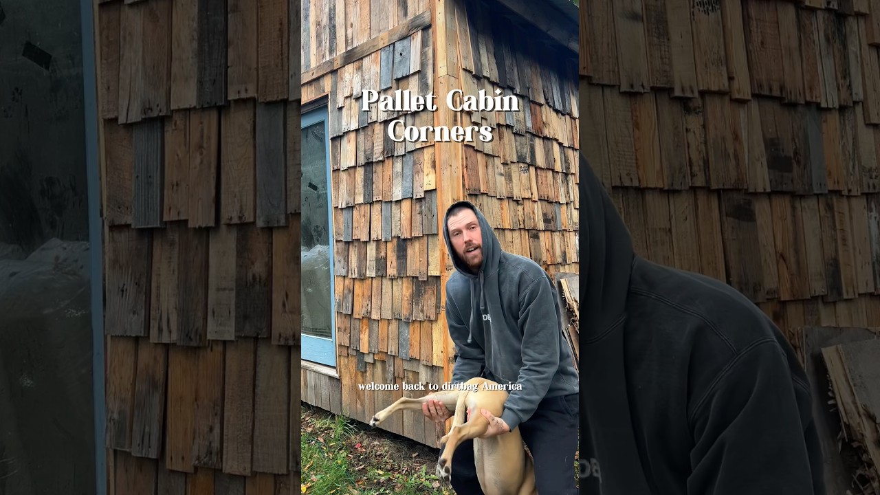 Осталось всего 3 💀 #мешокдлягрязи #поддон #домик #строительство #плотницкиеработы