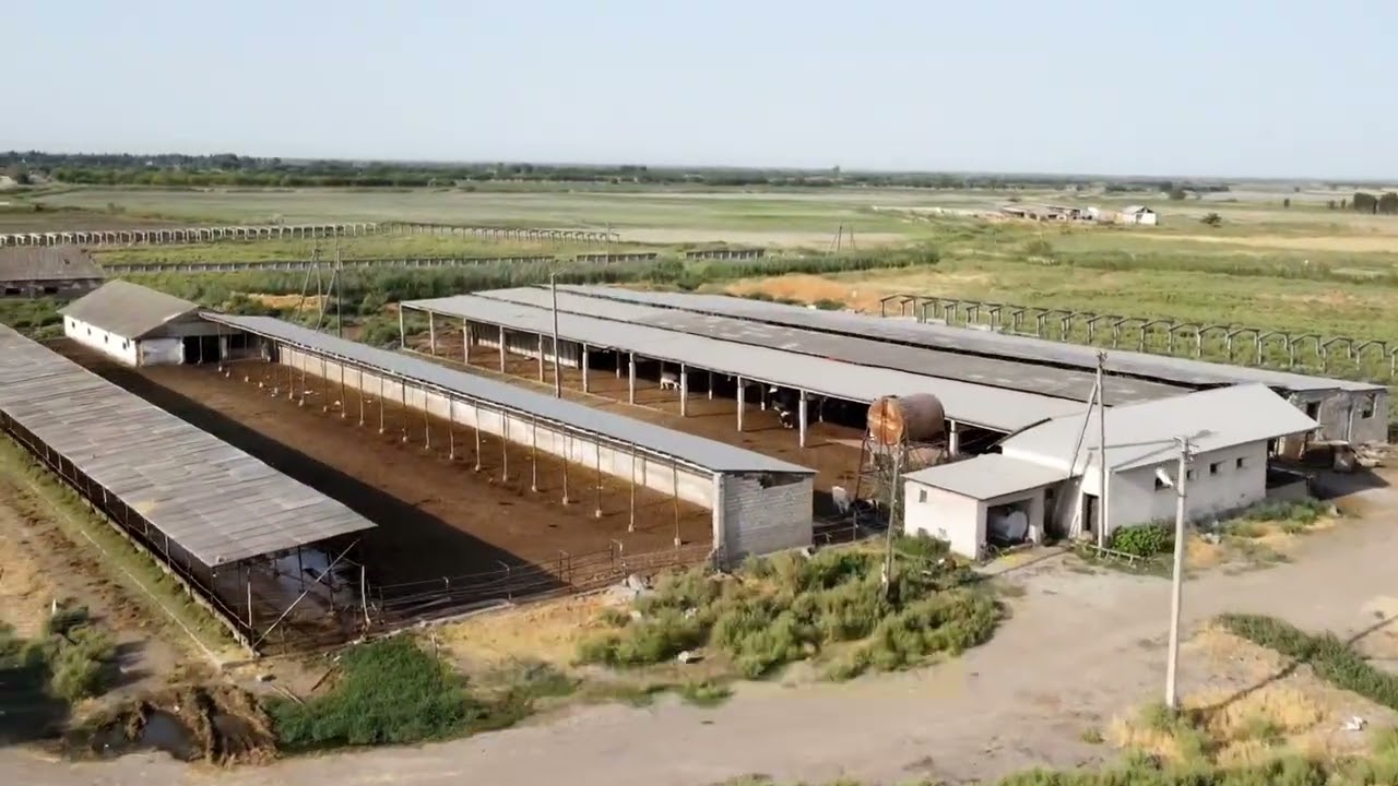 Ферма сотилади, продаётся ферма, For Sale livestock farm +998917703399