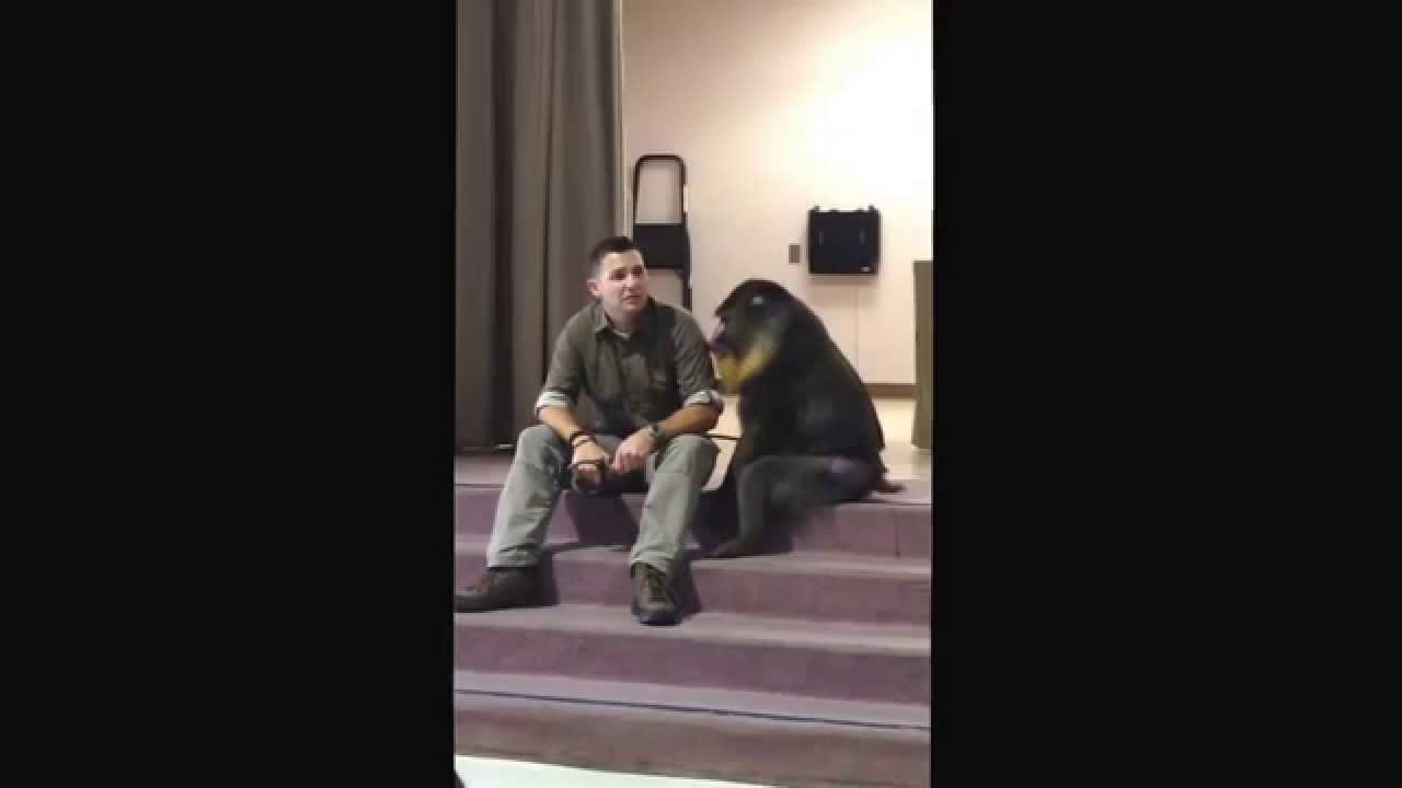 Adaptation Field Trip