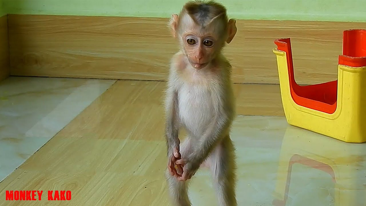 So Cute Tiny Baby Nina Standing And Play On Chair