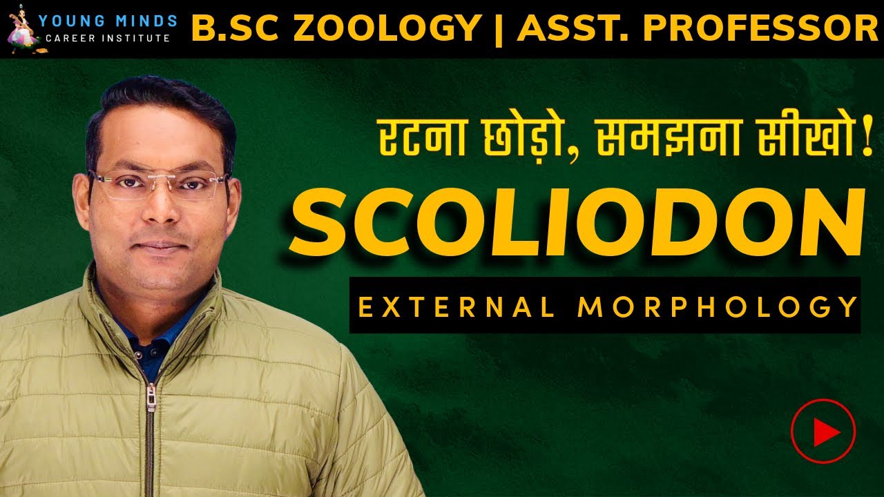 Scoliodon External Morphology | Super Class- Pisces | B.Sc Zoology