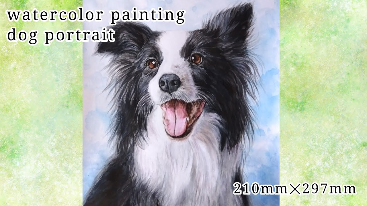 犬の水彩画 ボーダー・コリー肖像画 Watercolor Dog Painting Border Collie【Pet Portrait Tutorial】atelier fiene