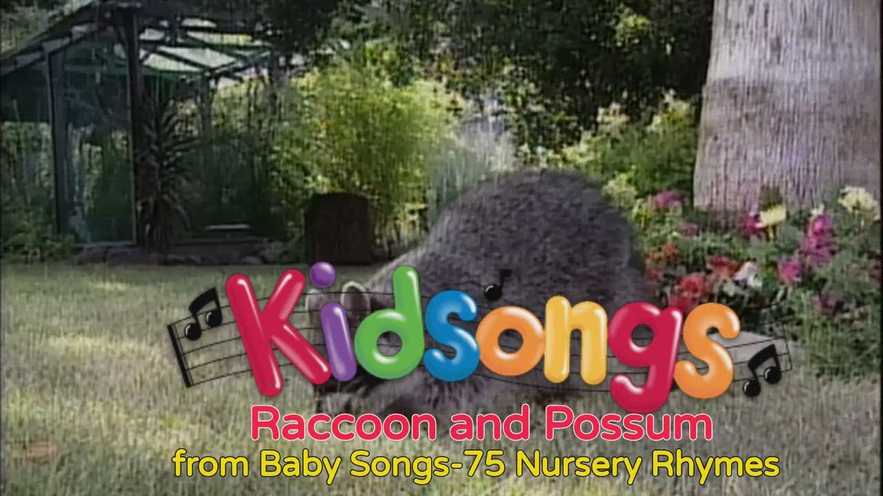 Kidsongs - Raccoon and Possum from Kidsongs: Baby Songs-75 Nursery Rhymes