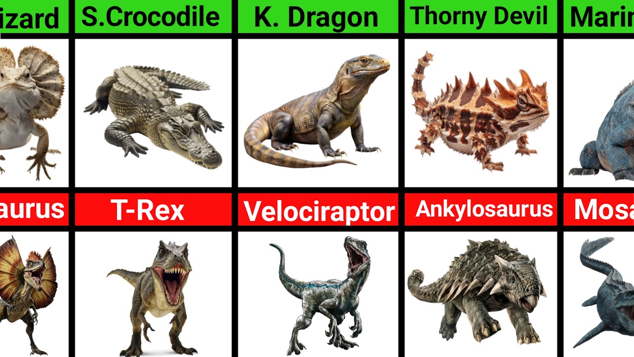 Real-Life Animals That Look Like Kaiju vs Prehistoric Creatures
