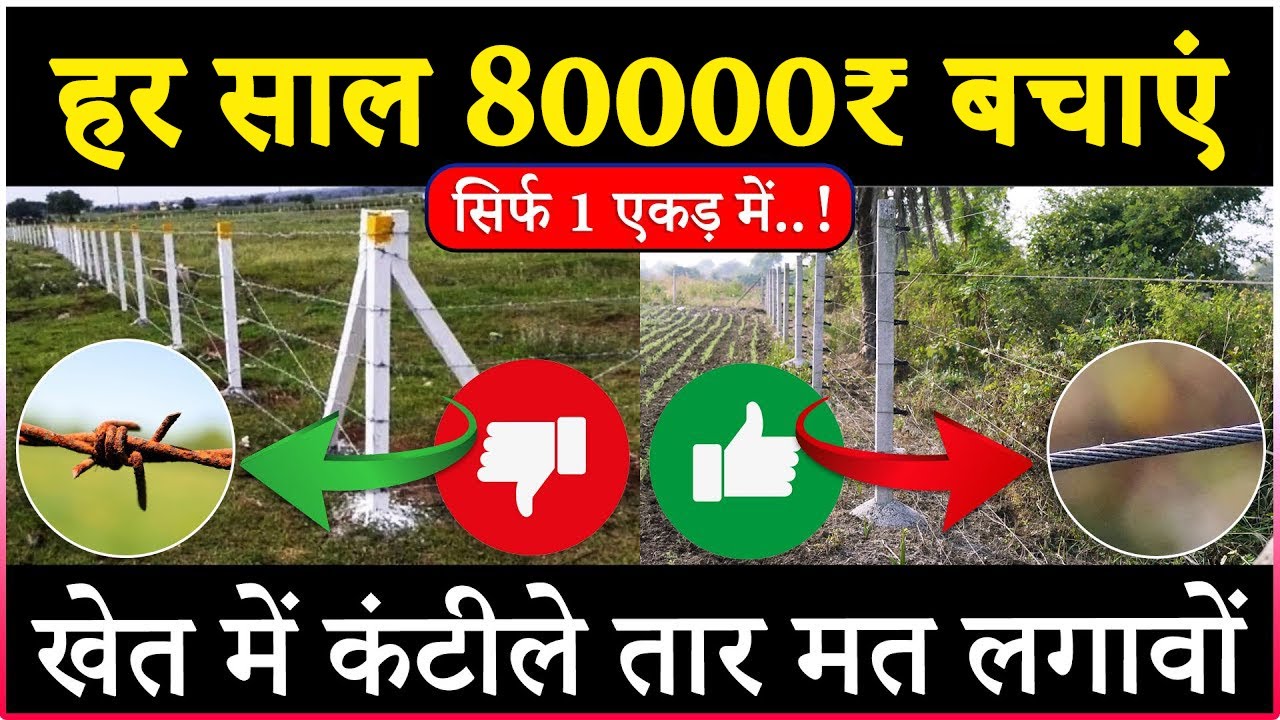 सस्ता और जबरदस्त तरीका | खेत में तारबंदी करने का | खेत की तारबंदी कैसे करें