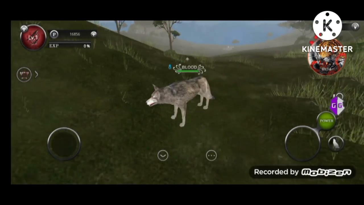 Wild animals online как вести код на 98лвл gg