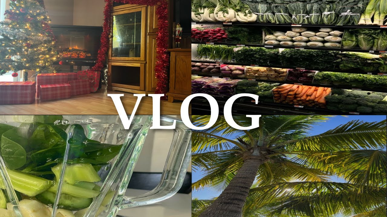 VLOG| Phoebe Polinis