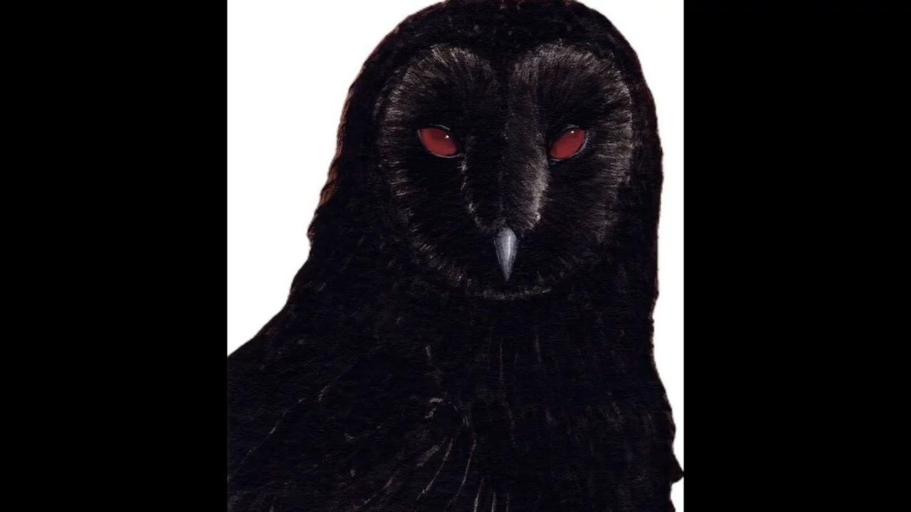 [FREE] $uicideBoy$ x Xavier Wulf x Chris Travis Type Beat - 
