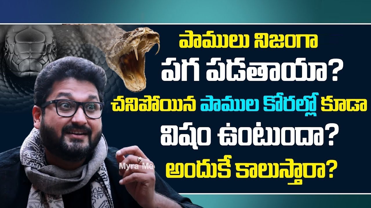 Actor Sai Kiran About Risks Behind Snake Rescue | Snake Catching Techniques | Venomous Urine | Myra