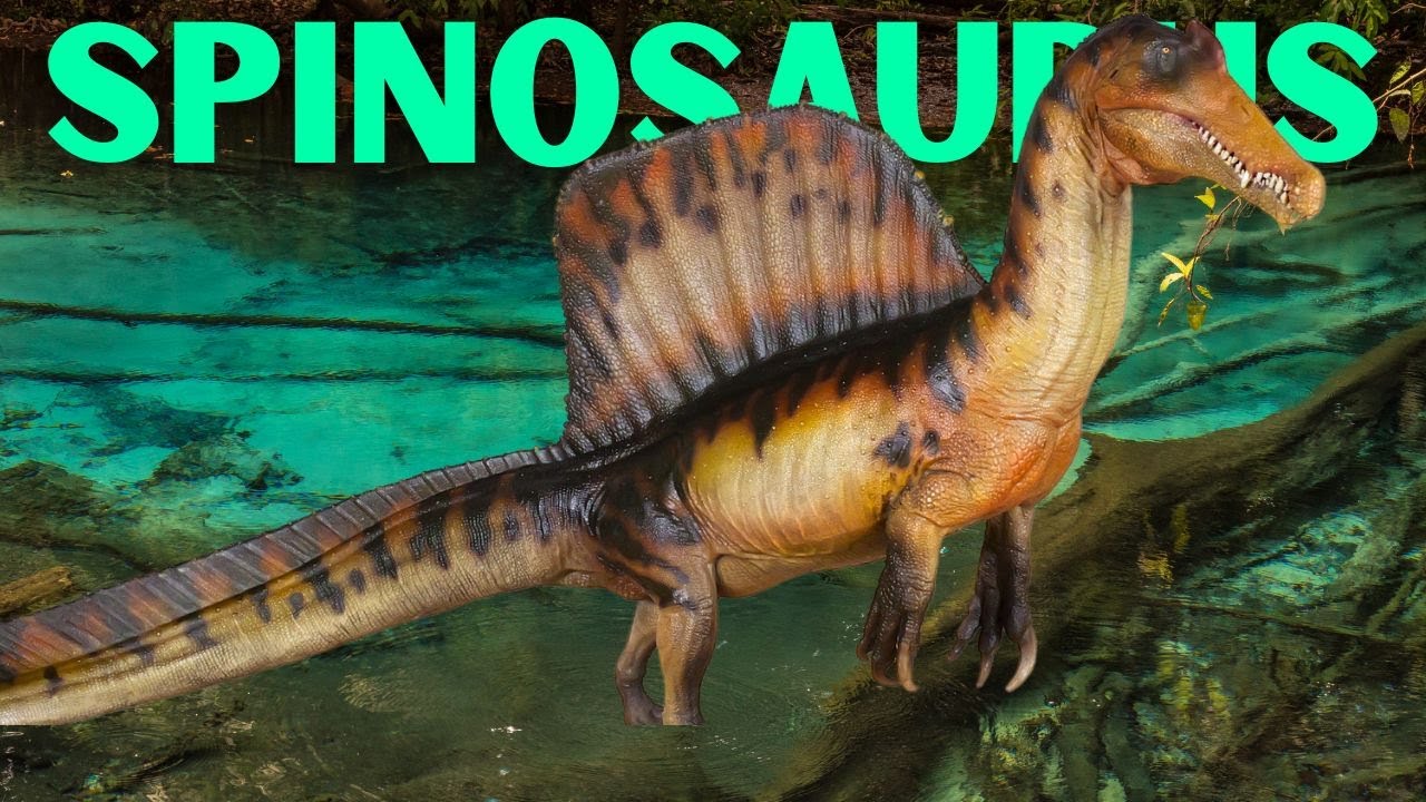 Spinosaurus PNSO - dinorecensione