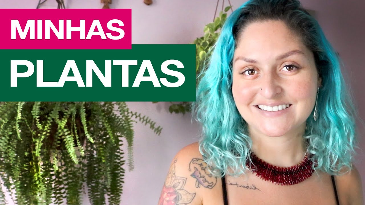 MINHAS PLANTAS DE APARTAMENTO - ADUBA E FALA | Hoje Eu Resolvi Mudar