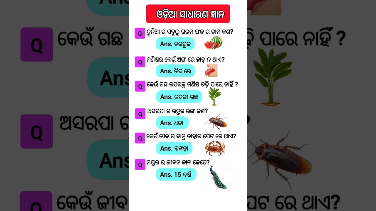 Odisha Gk Gs Questions || Odia General Knowledge #odia #generalknowledge #odiagk