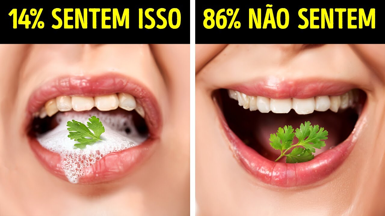 Fatos sobre o corpo humano que provam que você foi construído como um milagre