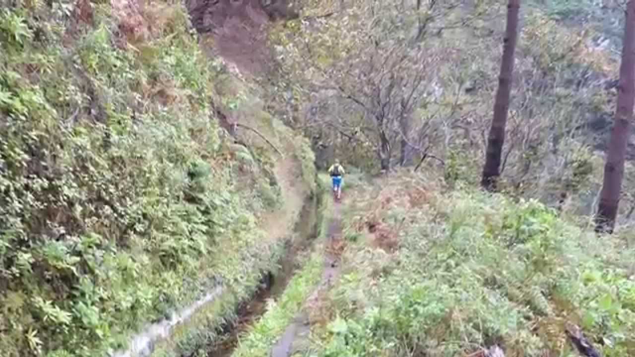 Madeira Levada Walks 