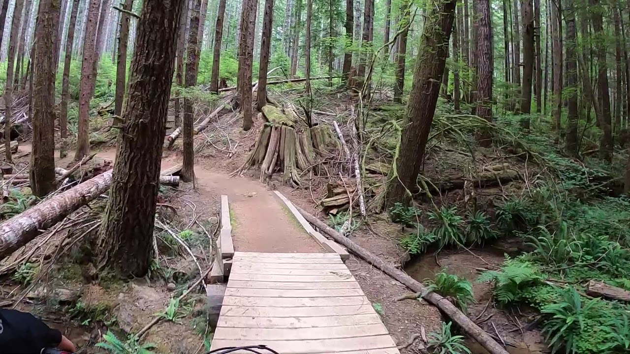 Alsea Falls MTB: Spring Board & Highballer