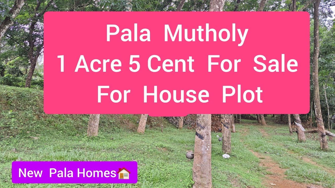Pala  Mutholy 1 Acre 5 Cent For Sale New Pala Homes🏠/  9745949447