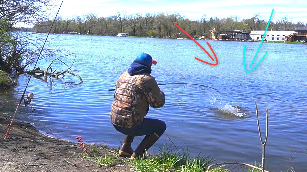 PESCANDO!! Carpas con Carnada 100% Efectiva!! , Masa Nueva para Pescar Carpas