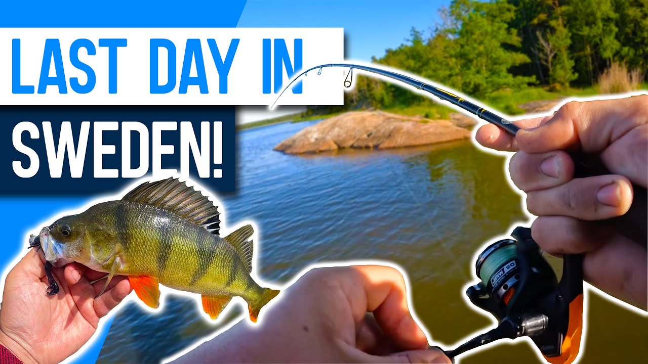 Last Day Fishing in Sweden! multi-species lure fishing Lake Sibbo!