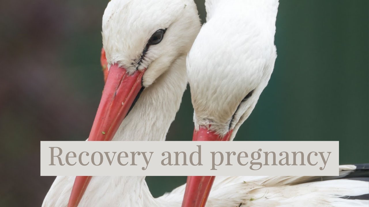 Recovery and pregnancy