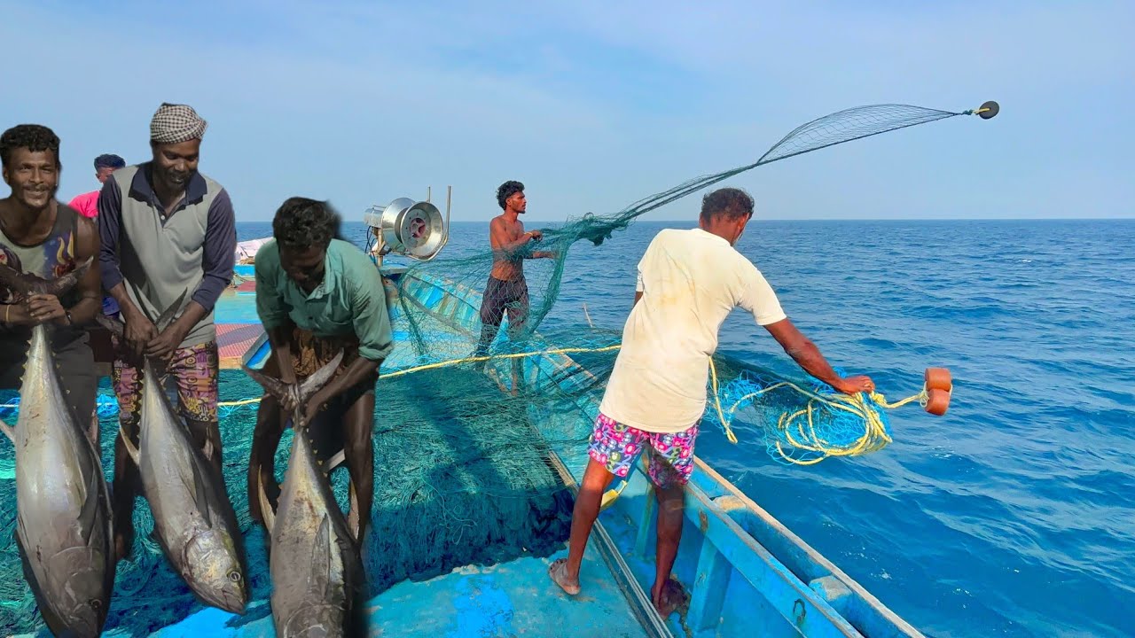 Ohh❗Fishing Adventure Full Episode 💢 Six Day Fishing 🤩 Deadliest catches