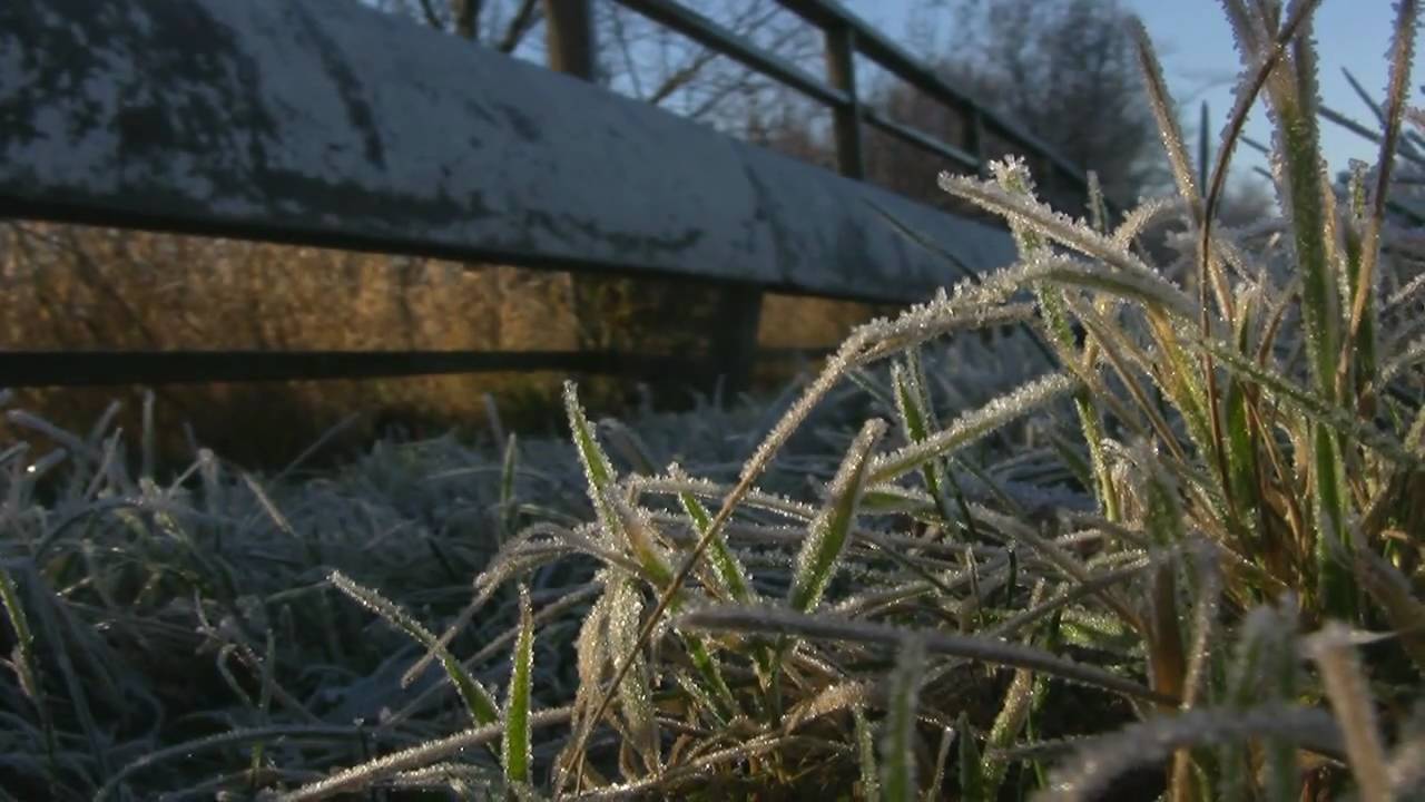 Vinterdag i HD (Winter day in HD)