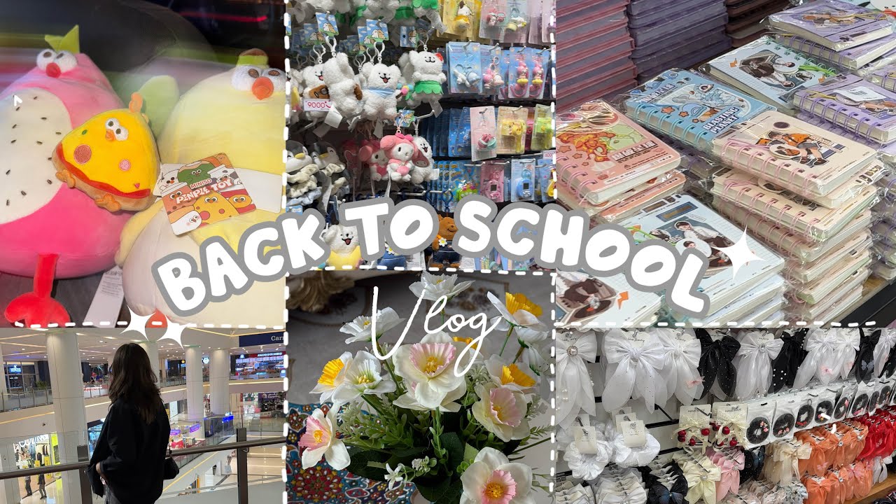 کڕینی کەلوپەلی قوتابخانە لەگەڵ من 🎧ྀི♪⋆.✮Kurdish vlog back to school shopping