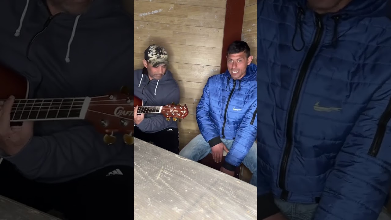 UCU DE LA MEDIAȘ LIVE
