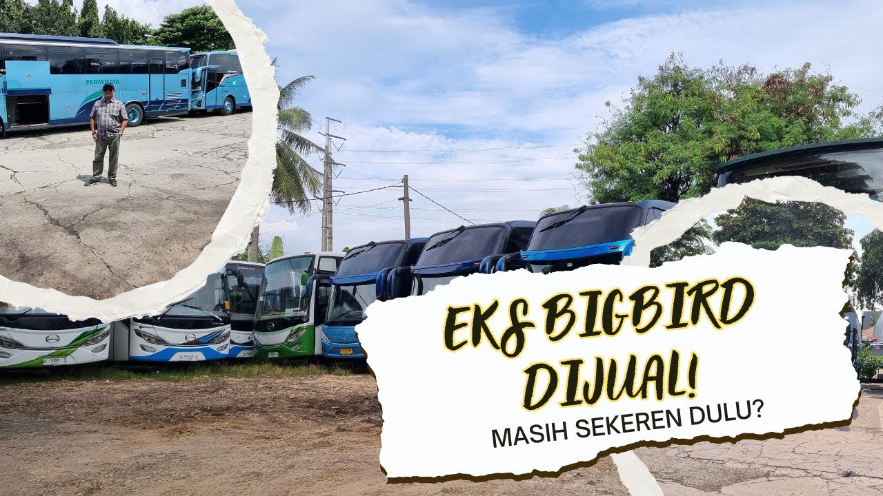 #JualBeliBus | Bus Mewah Mantan BigBird! Review Eks BigBird yang Siap Dijual!