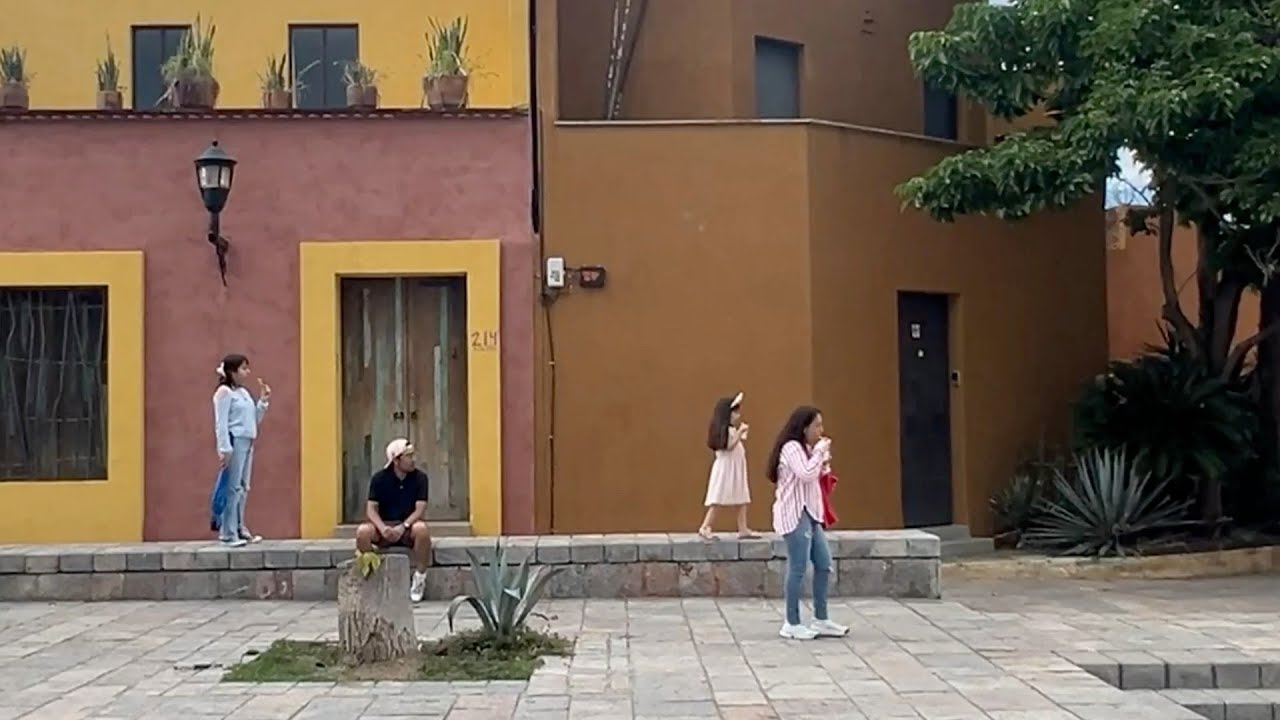 Scenes from Oaxaca de Ju&aacute;rez, M&eacute;xico
