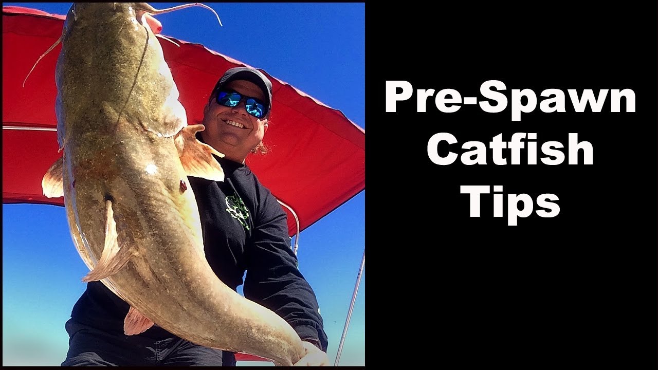 Tips for Catching Catfish Pre-Spawn - Spring Catfishing - How To Catch Catfish Before The Spawn